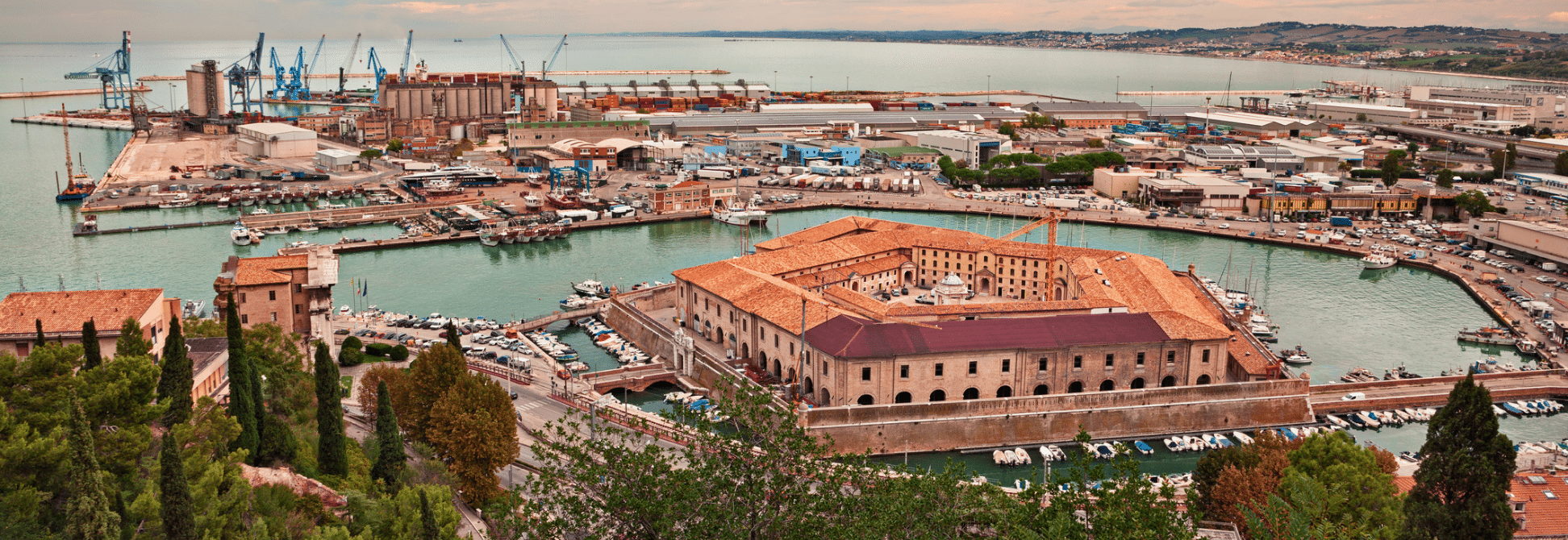 Ancona